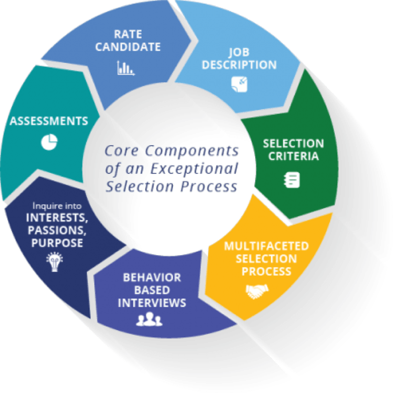 Selection Process